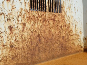 サムネイル 32枚目