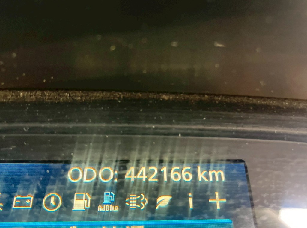 画像大 6枚目