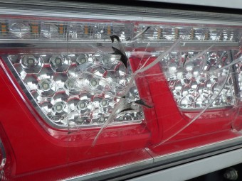 サムネイル 30枚目