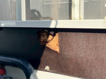 サムネイル 30枚目