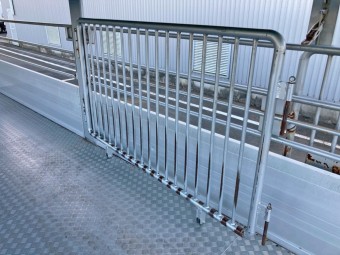 サムネイル 17枚目