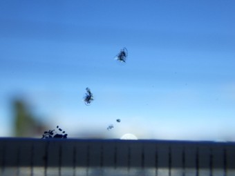 サムネイル 12枚目