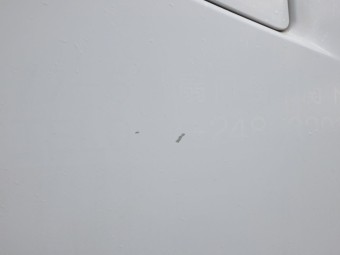 サムネイル 19枚目