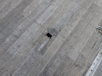 サムネイル 35枚目