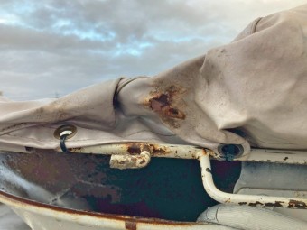 サムネイル 13枚目