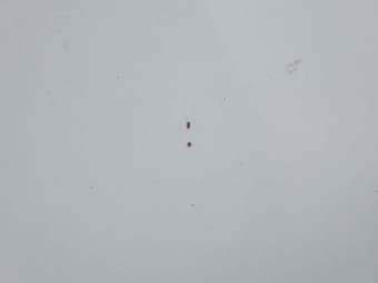 サムネイル 24枚目