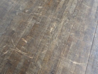 サムネイル 43枚目