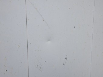 サムネイル 46枚目