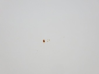 サムネイル 24枚目