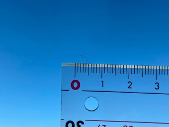 サムネイル 14枚目