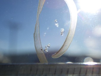 サムネイル 13枚目