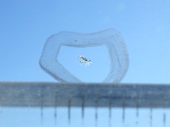 サムネイル 15枚目