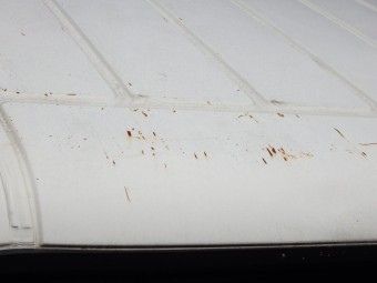 サムネイル 23枚目