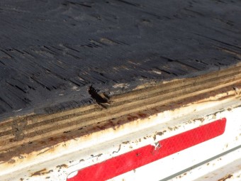 サムネイル 37枚目