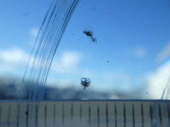 サムネイル 19枚目