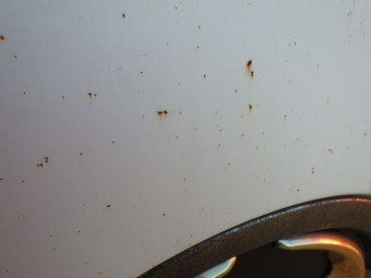 サムネイル 27枚目