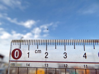 サムネイル 10枚目