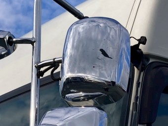 サムネイル 19枚目