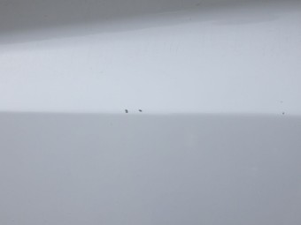 サムネイル 22枚目