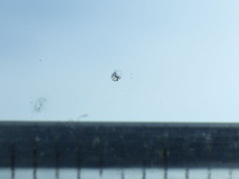 サムネイル 16枚目