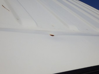 サムネイル 26枚目