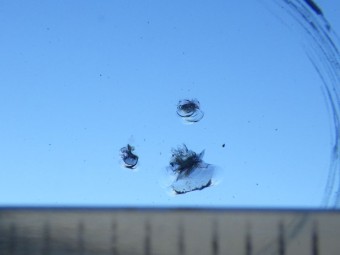 サムネイル 16枚目