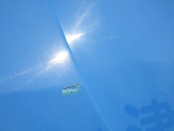 サムネイル 29枚目