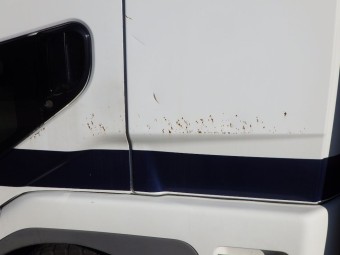 サムネイル 21枚目