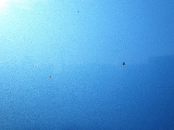 サムネイル 21枚目