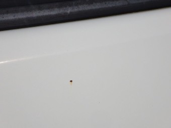 サムネイル 31枚目