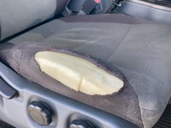 サムネイル 8枚目