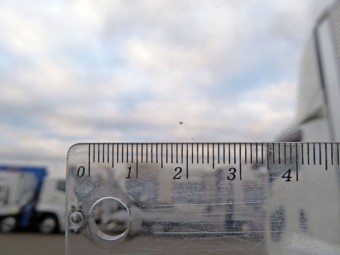 サムネイル 21枚目