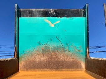 サムネイル 10枚目