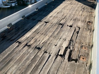 サムネイル 12枚目