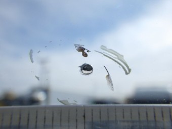 サムネイル 19枚目