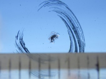 サムネイル 16枚目