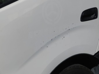 サムネイル 19枚目