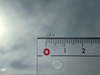 サムネイル 25枚目