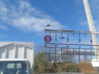 サムネイル 17枚目