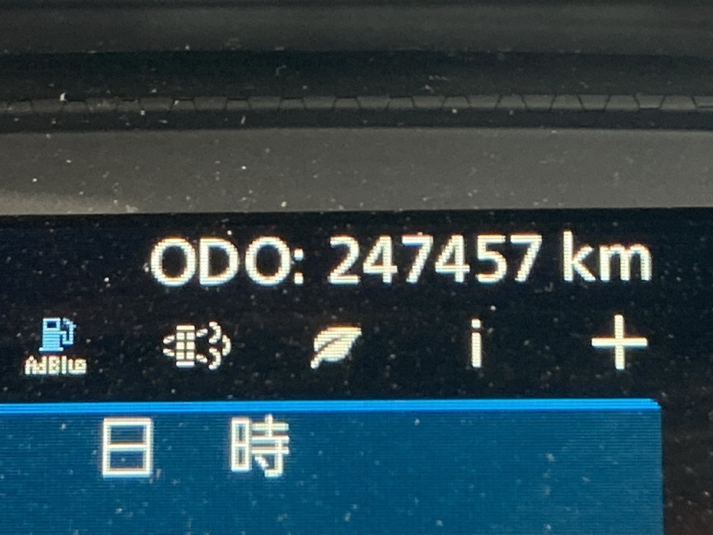 画像大 43枚目