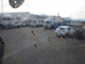 サムネイル 16枚目