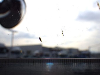 サムネイル 17枚目