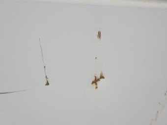 サムネイル 29枚目