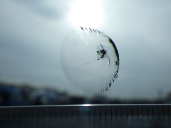 サムネイル 13枚目