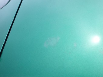 サムネイル 24枚目