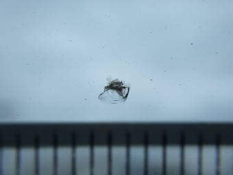 サムネイル 13枚目