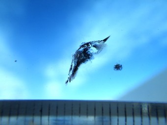 サムネイル 14枚目