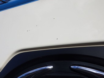 サムネイル 23枚目