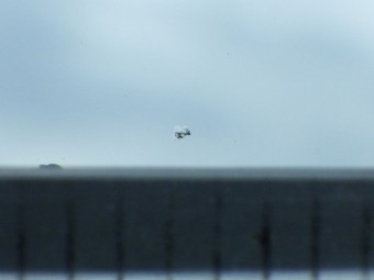 サムネイル 12枚目