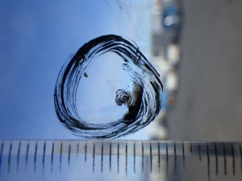 サムネイル 14枚目